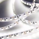 STRIP LED 5W Ip20 520Lm 4K 120D L=5M