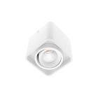 LUPO 1 10W 500Lm 3000K 38  BLANC MAT