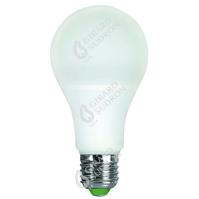 *Standard A65 LED 330° 12W E27 2700k 1000Lm