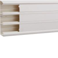 Goulotte appareillable queraz enclipsage direct h207xp56mm L200mm RAL