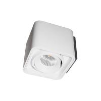 PURE 111 10W 710Lm 3000K 40  BLANC MAT up ou down.
Convertisseur non dimmable i
