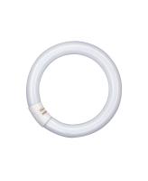 T9 Lumilux circulaire 40W/840 C G10Q OSRAM Tube Fluorescent