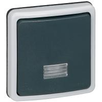 Interrupteur ou va-et-vient étanche à vo voyant 10A Plexo IP66 composable-gris